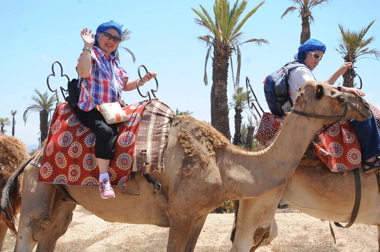 Balade à Dos de Dromadaire dans la Palmeraie de Marrakech
