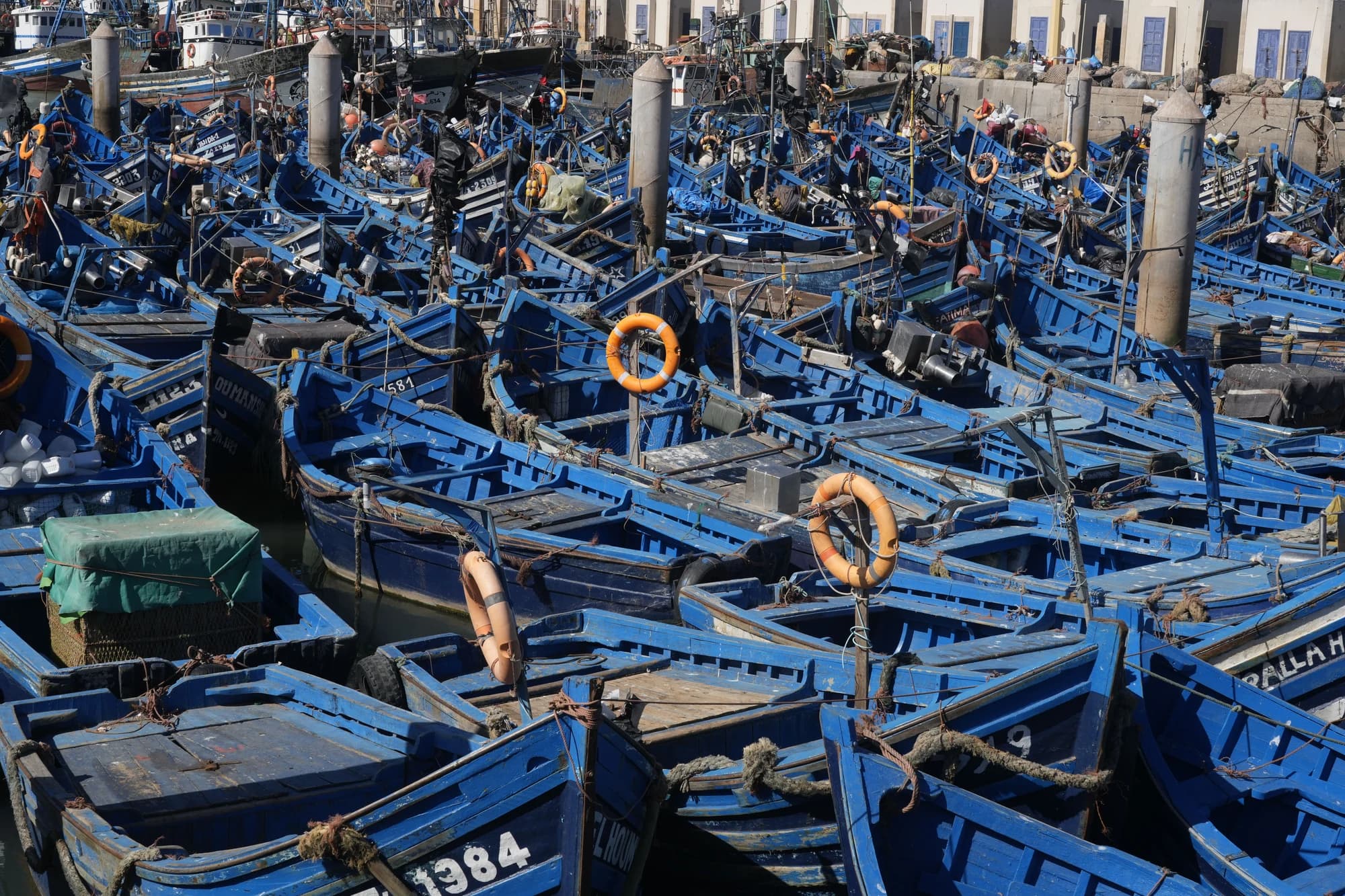 Excursion Ă Essaouira depuis Marrakech