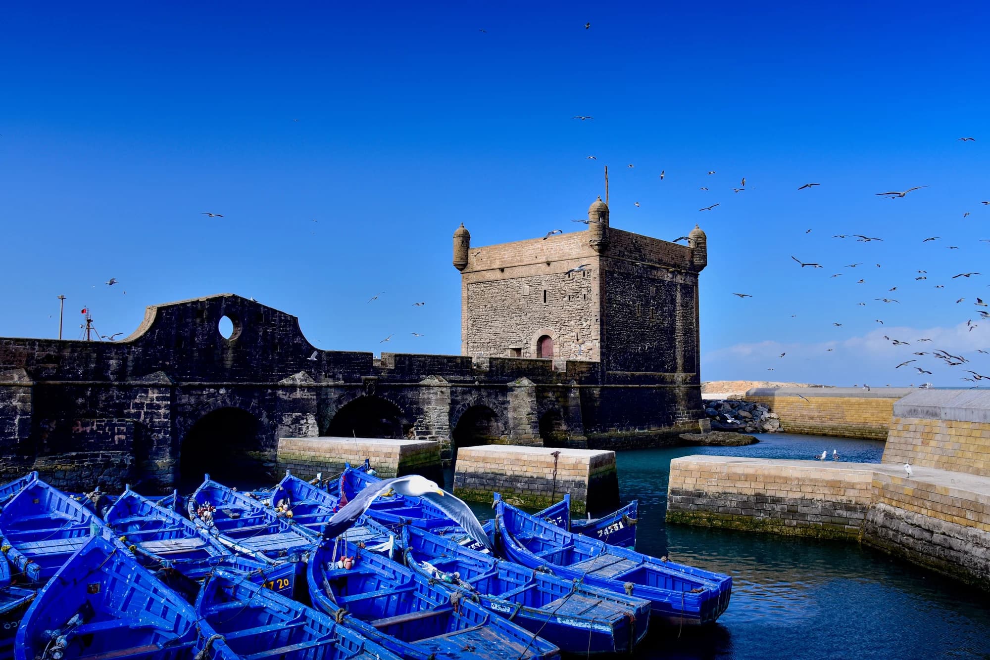 Excursion Ă Essaouira depuis Marrakech