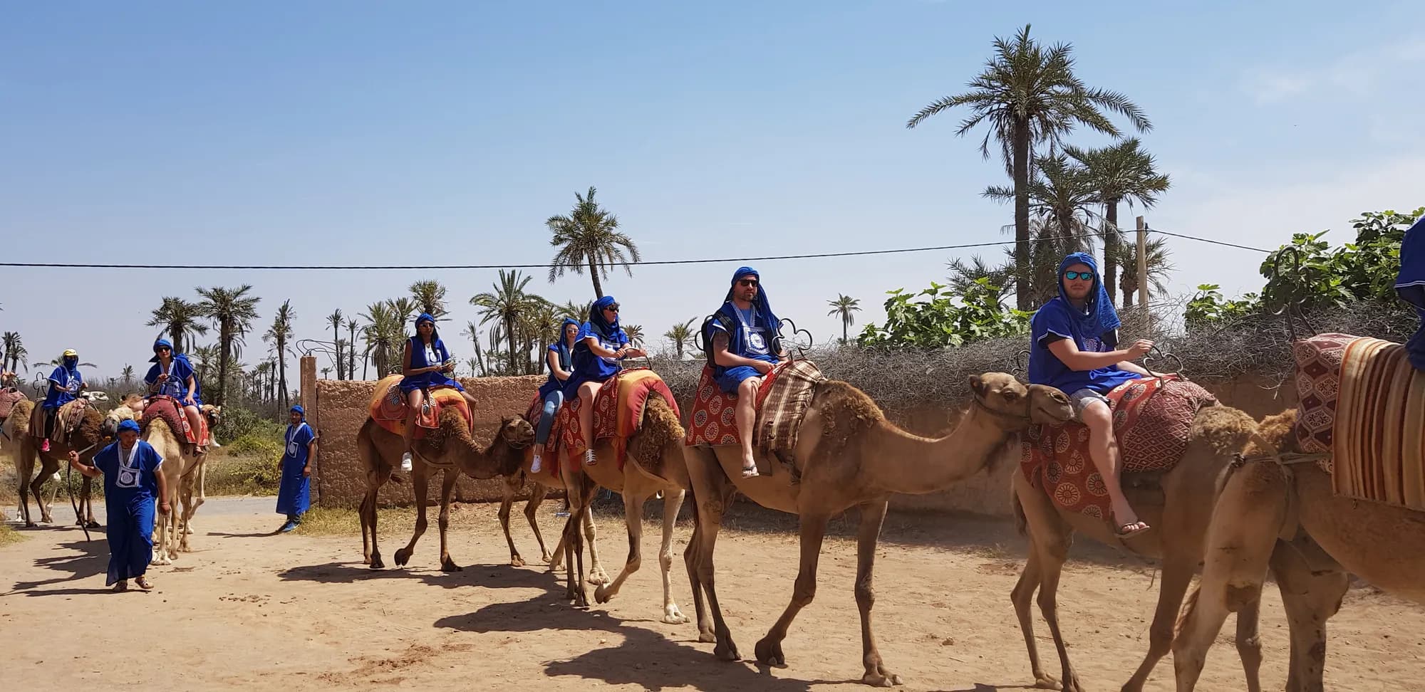 Balade à Dos de Dromadaire dans la Palmeraie de Marrakech